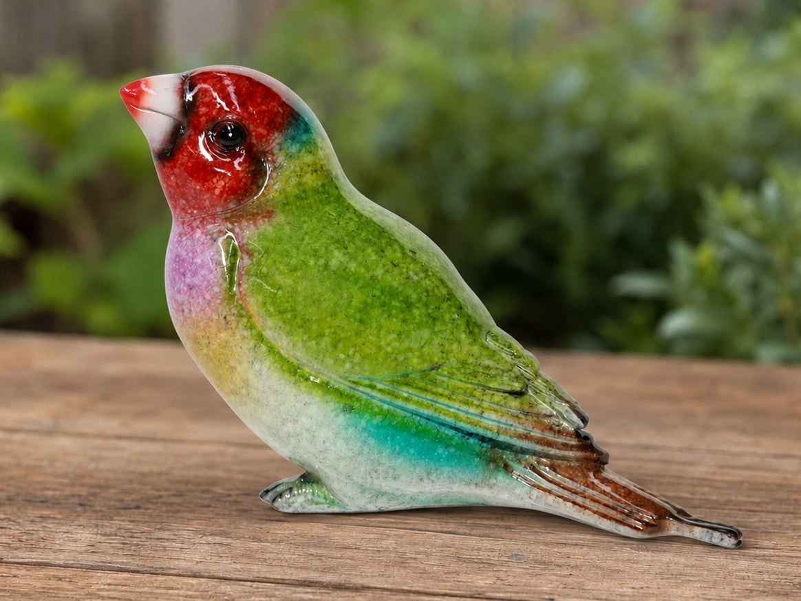 Finch - Red Head