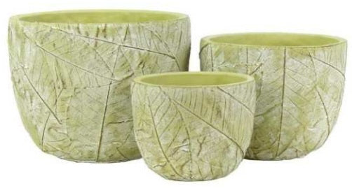 Round Leaf Pot - Parakeet
