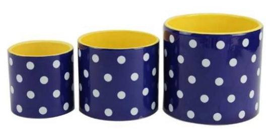 Polka Dot Planter - Navy/Yellow