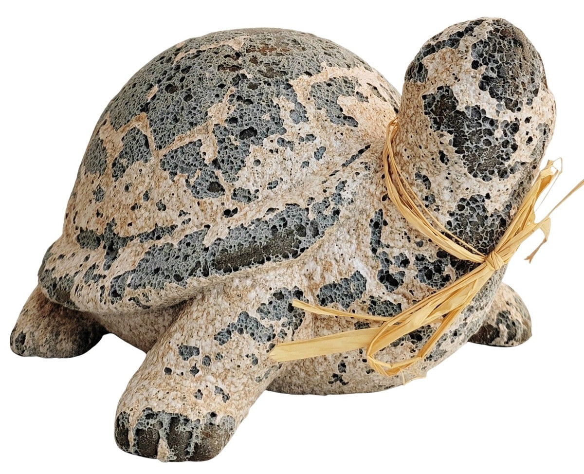 Delphi Turtle