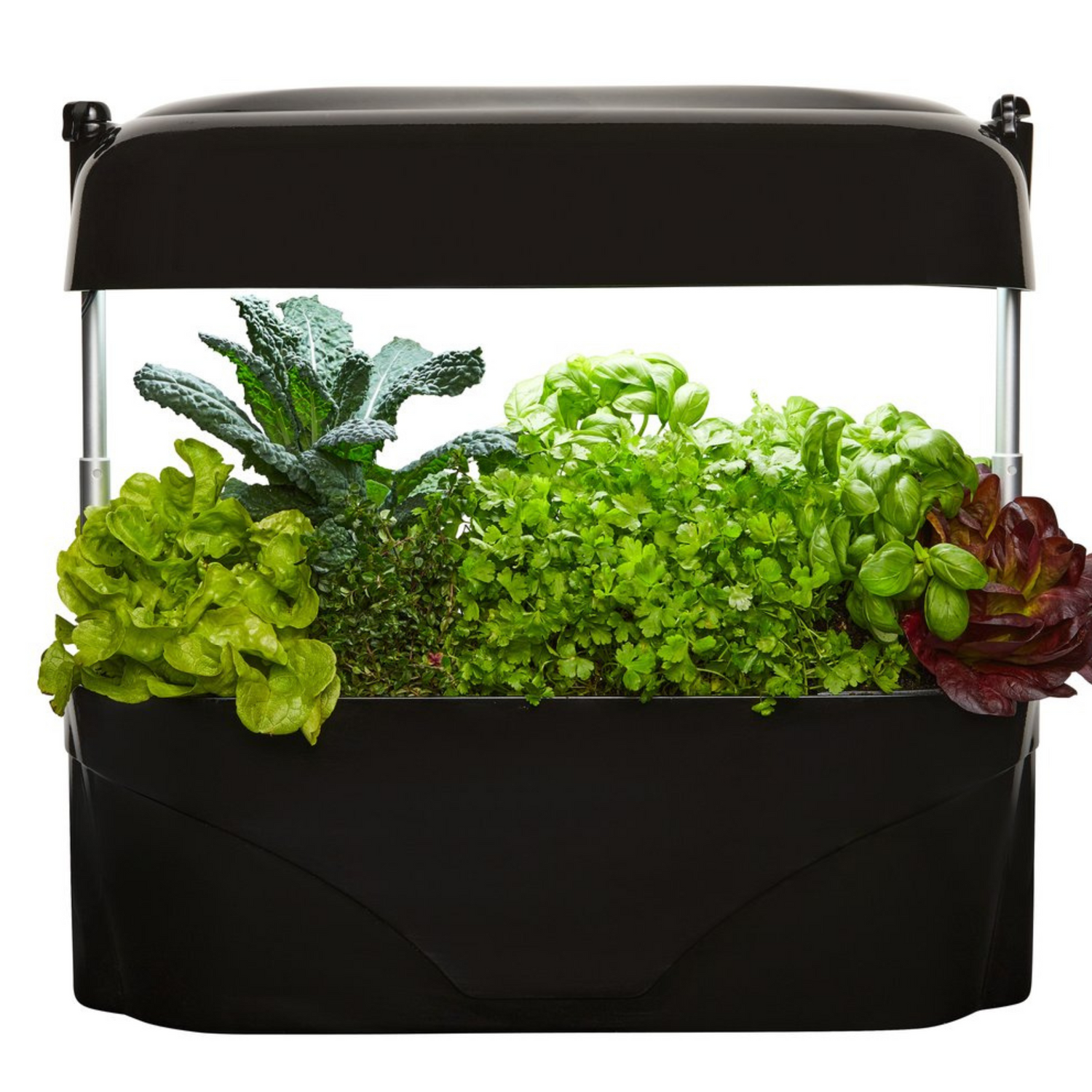 Vegepod Kitchen Garden Black