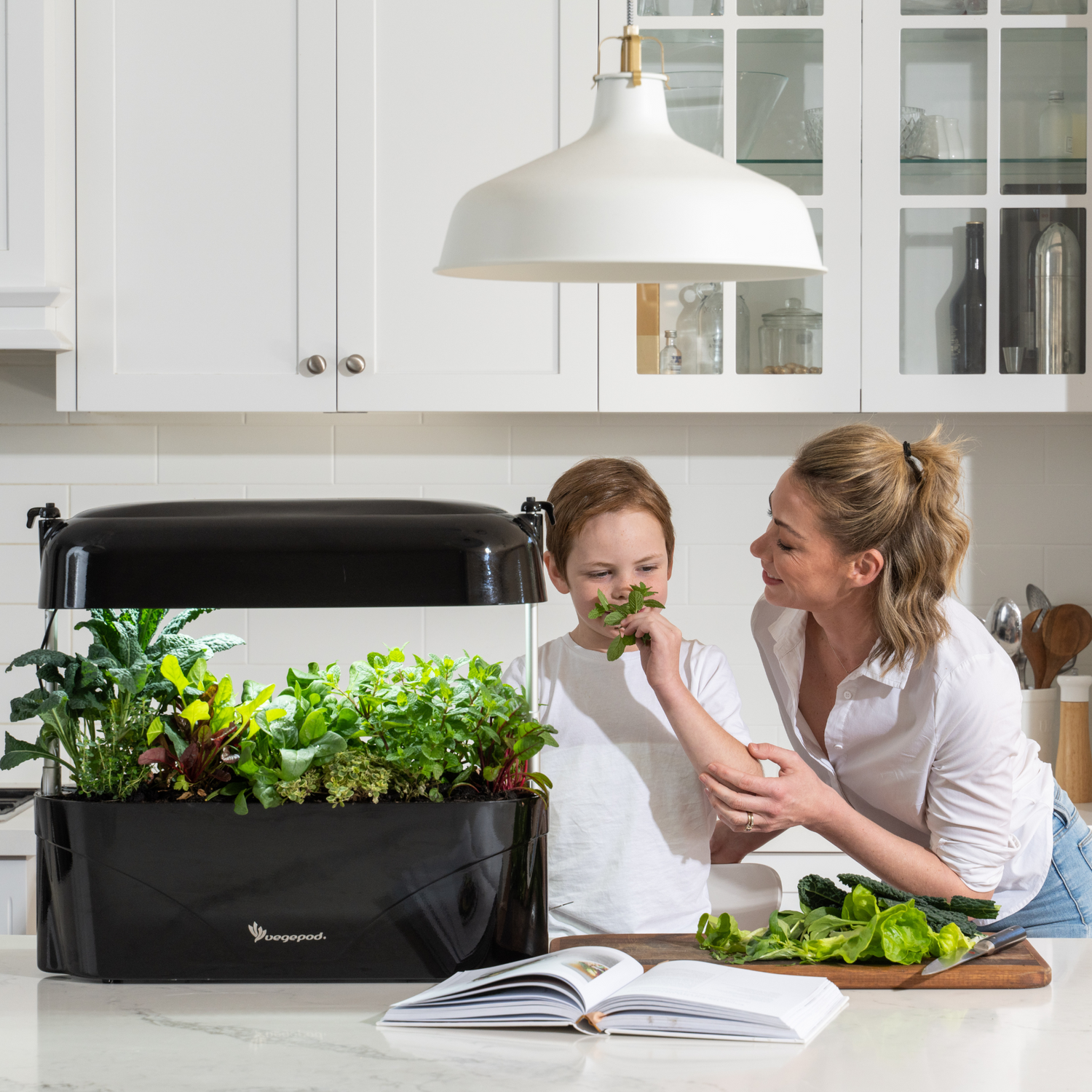 Vegepod Kitchen Garden Black