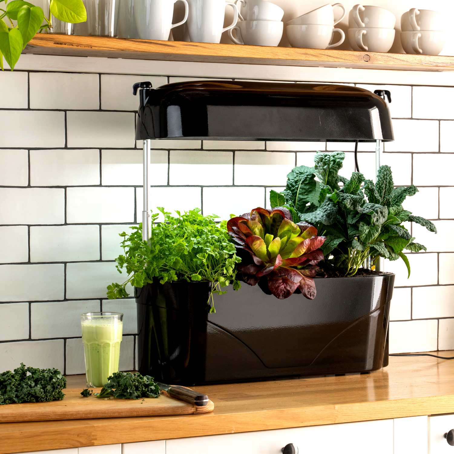Vegepod Kitchen Garden Black