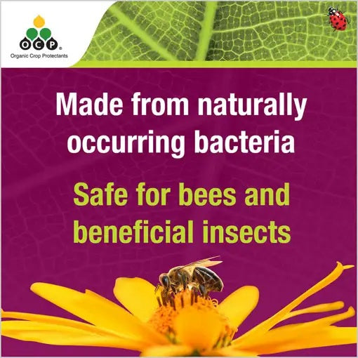OCP eco-caterpillar killer DiPel® 4x10g Sachets