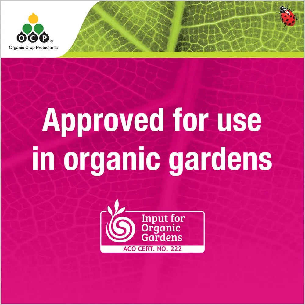 OCP eco-insect killer Natrasoap® Ready-To-Use