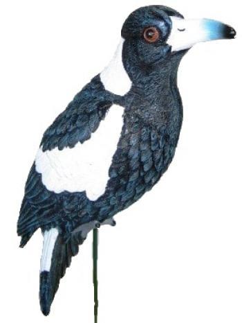 Magpie On Stick