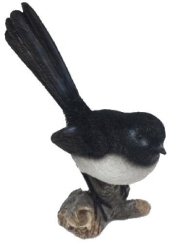 WILLY WAGTAIL