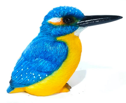 Bluebird