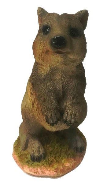 Quokka