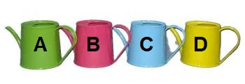 Colourful Mini Spout Watering Can