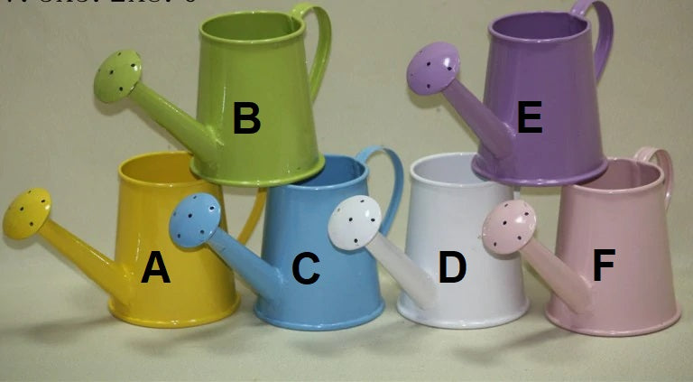 Colourful Mini Rose Watering Can
