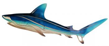 Shark Wall Art