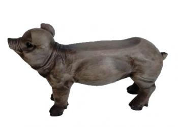 Pig Bench