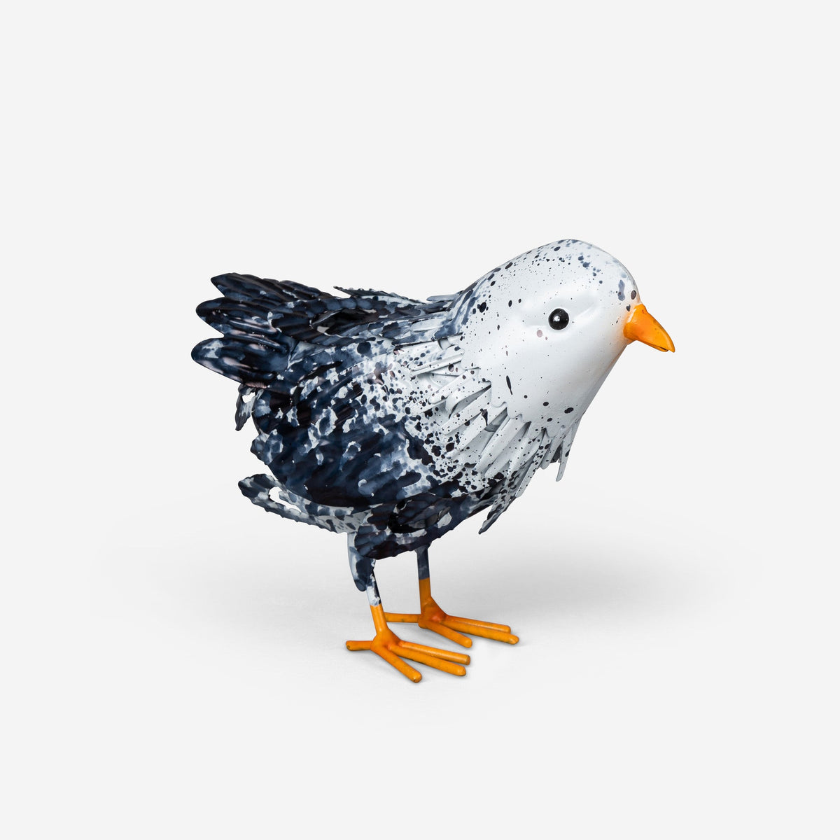 Curious Chick