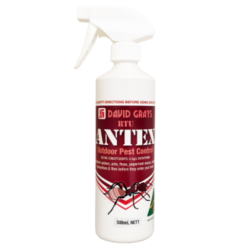 Antex Liquid Insecticide Ready-To-Use