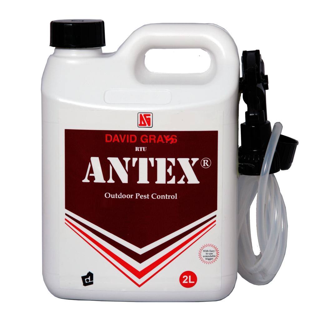 Antex Liquid Insecticide Ready-To-Use