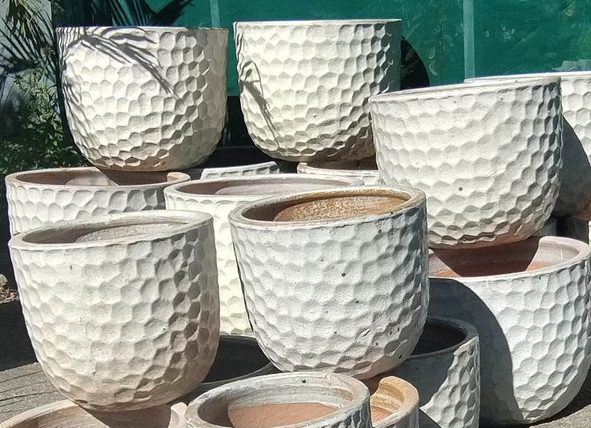 Garden White Pot