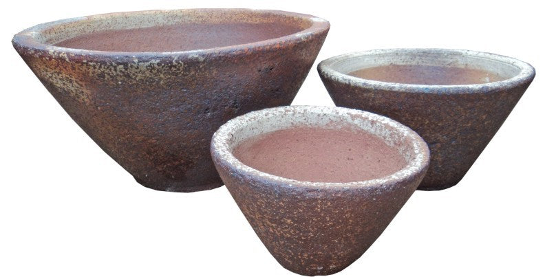 Vintage Succulent Bowl White