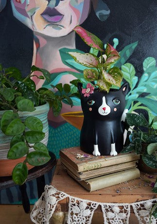 Cat Planter - Black