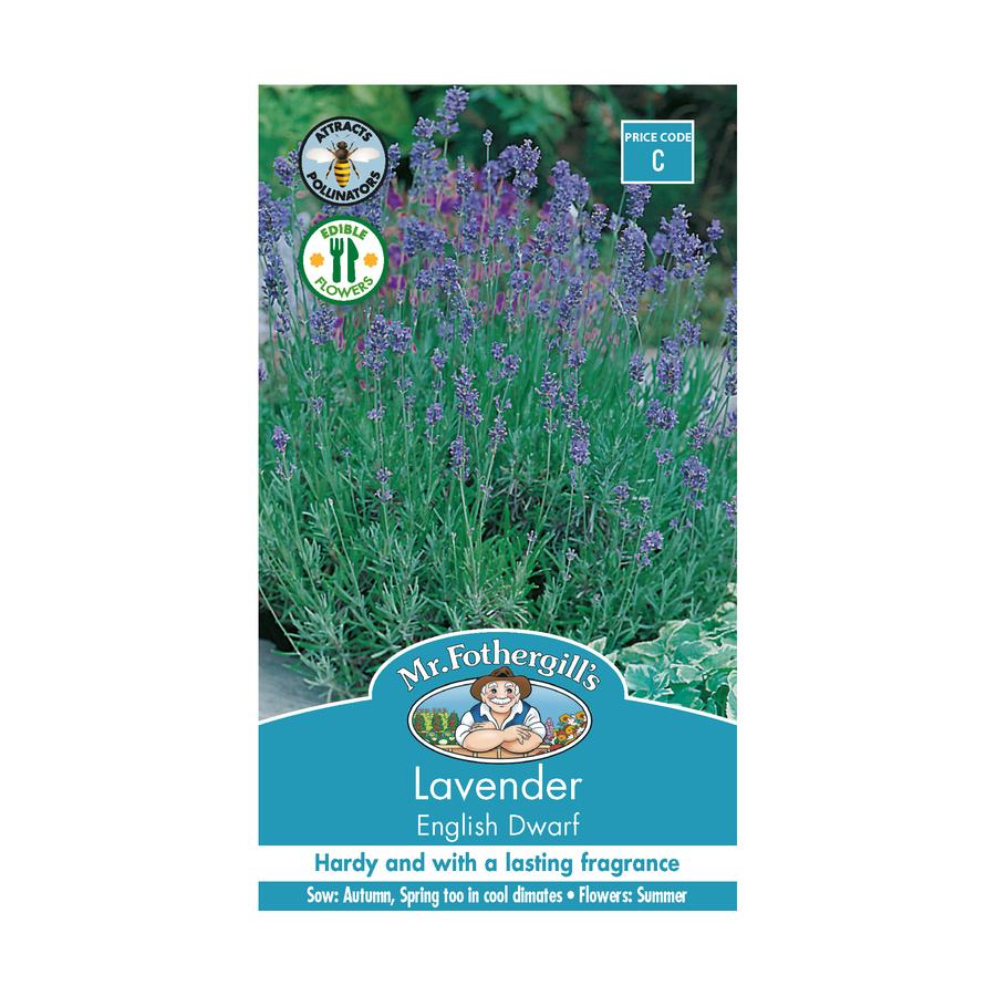 Seeds C Lavender English Dwarf