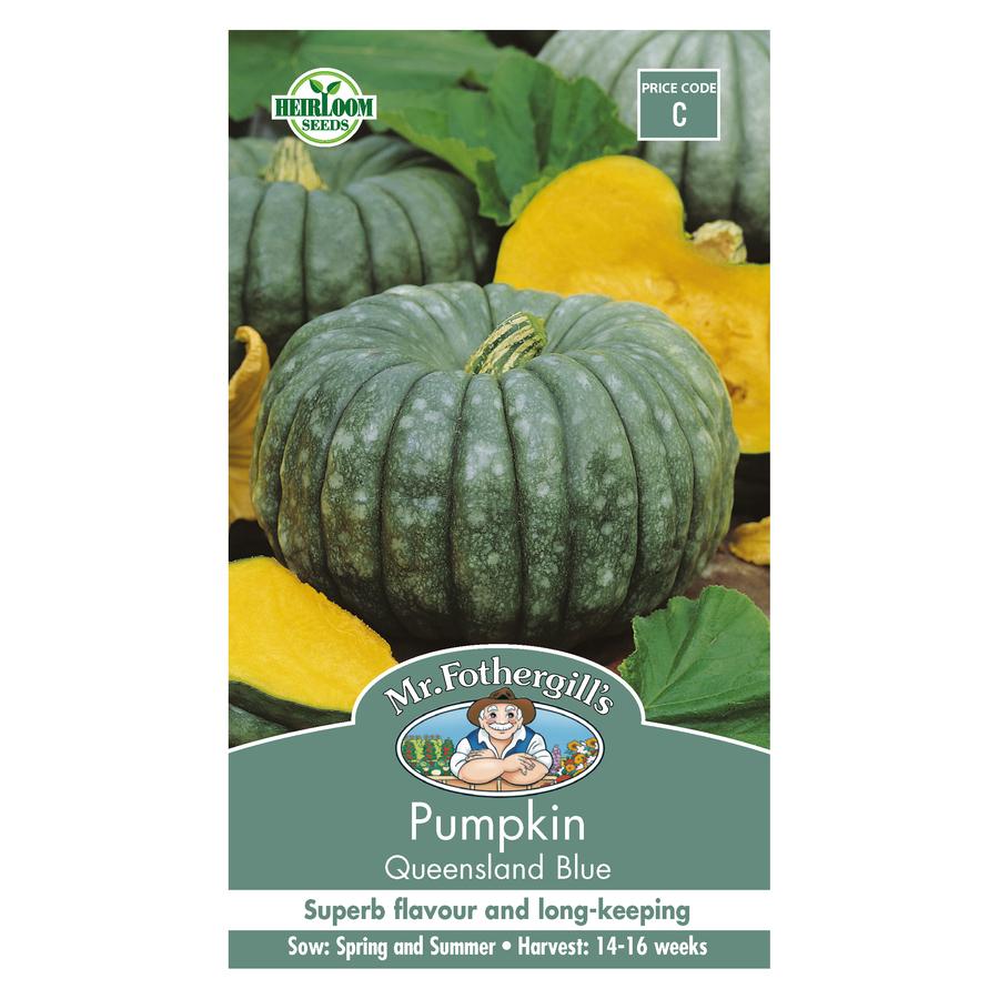 Seeds C Pumpkin Queensland Blue