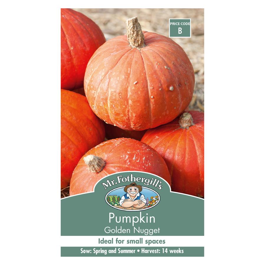 Seeds B Pumpkin Golden Nugget