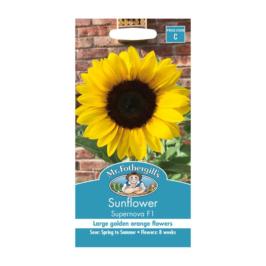 Seeds C Sunflower Supernova