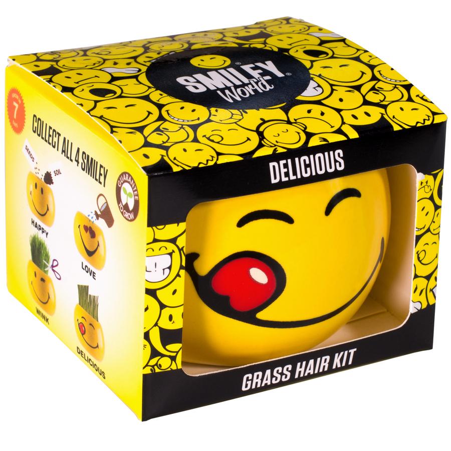 Grass Hair Kit - Smiley Faces Delicious