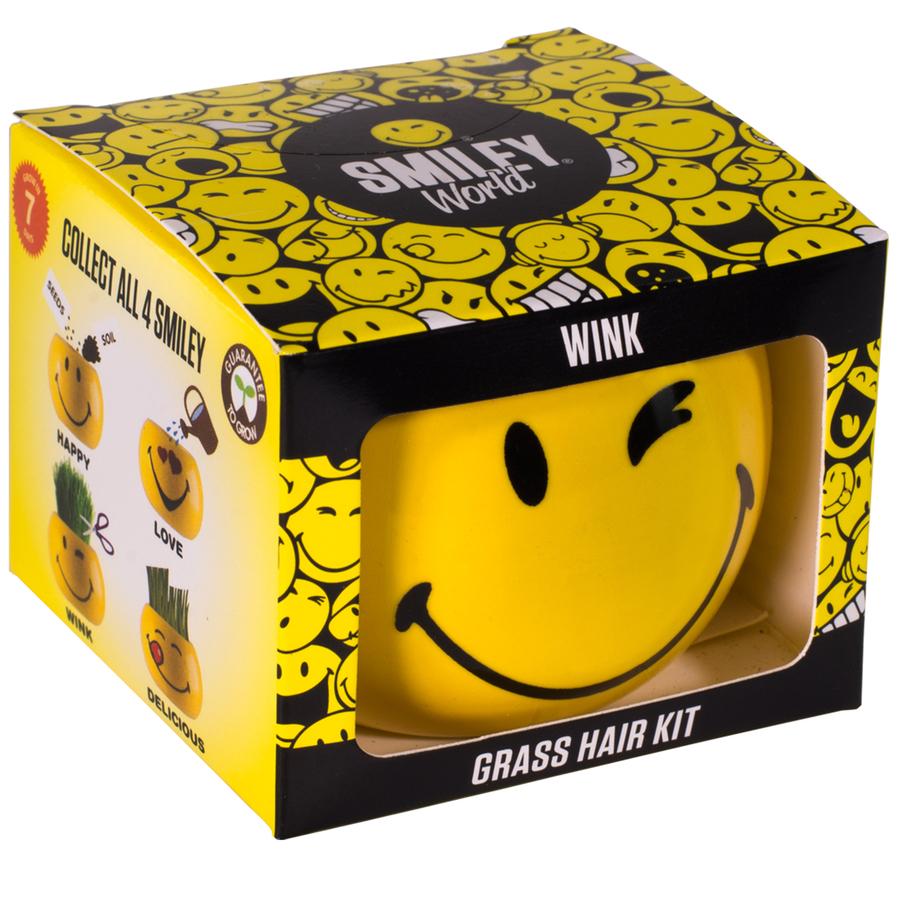 Grass Hair Kit - Smiley Faces Wink