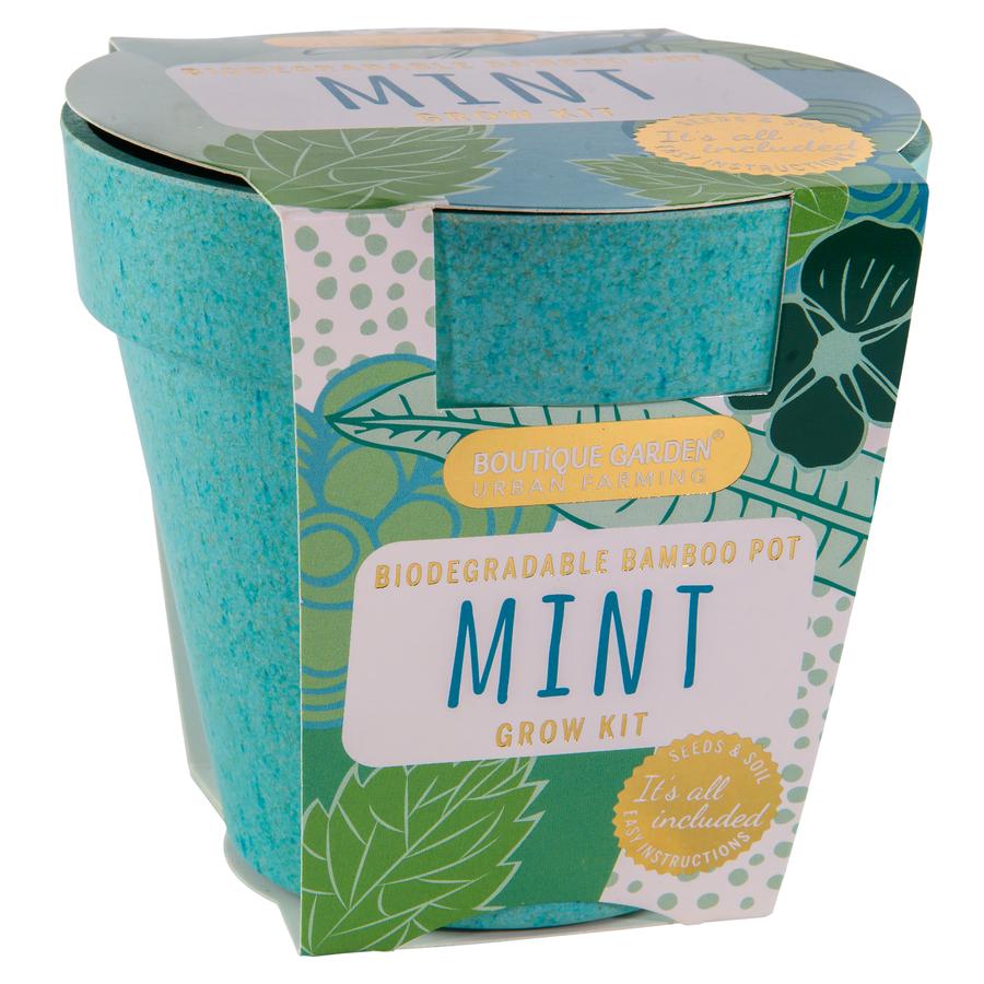 Boutique Garden - Premium Bio Pot Mint