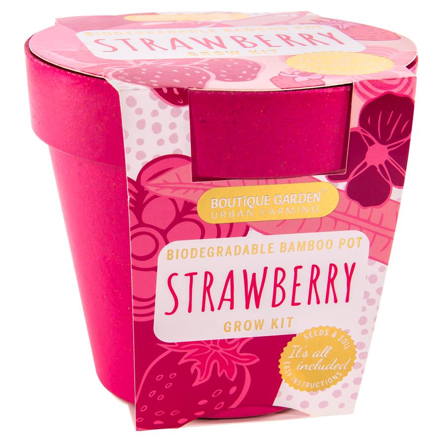 Boutique Garden - Premium Bio Pot Strawberry