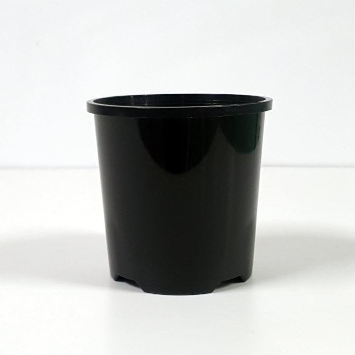Plastic Pot Slimline Black