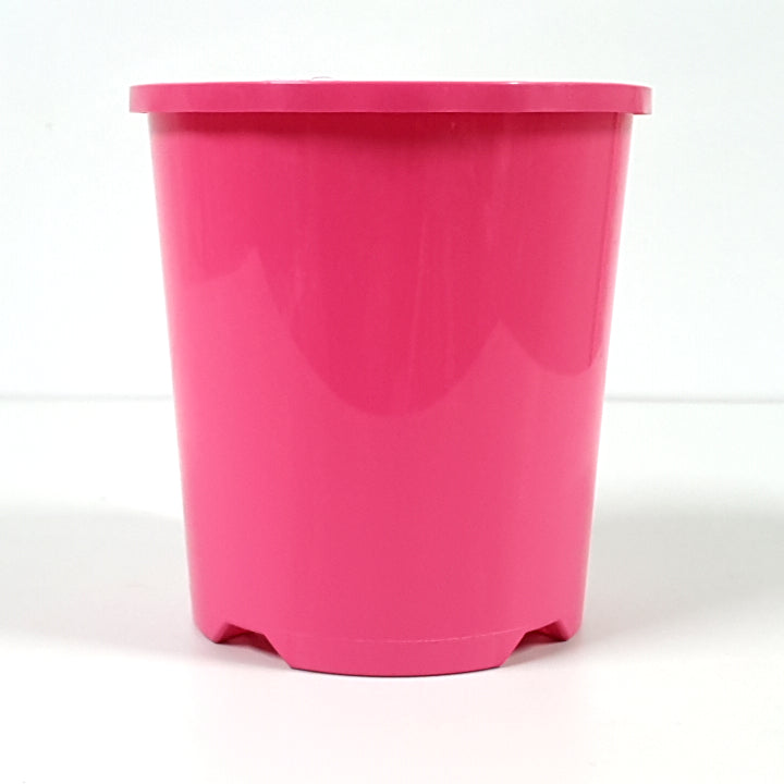 Plastic Pot Packwell Cerise Pink