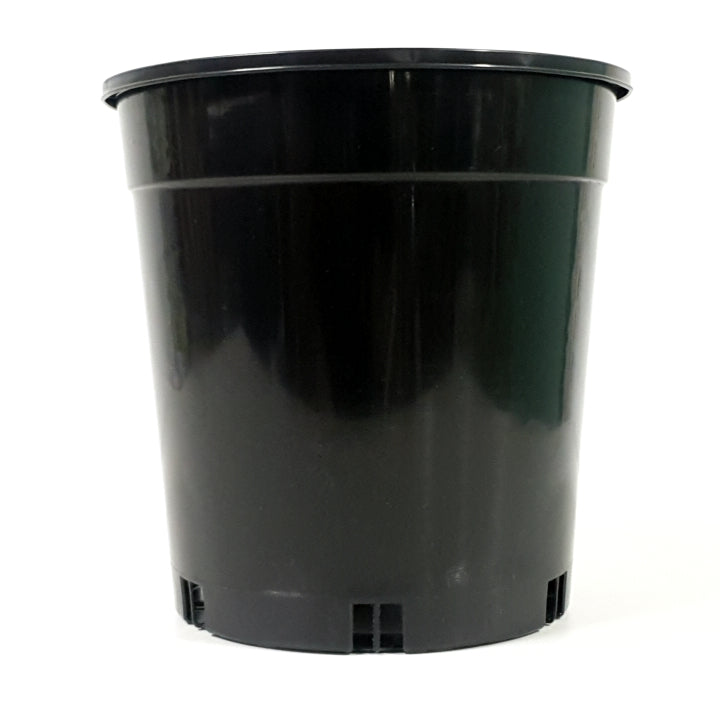 Plastic Pot Standard Black