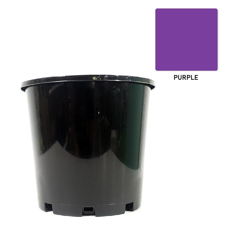 Plastic Pot Slimline Purple