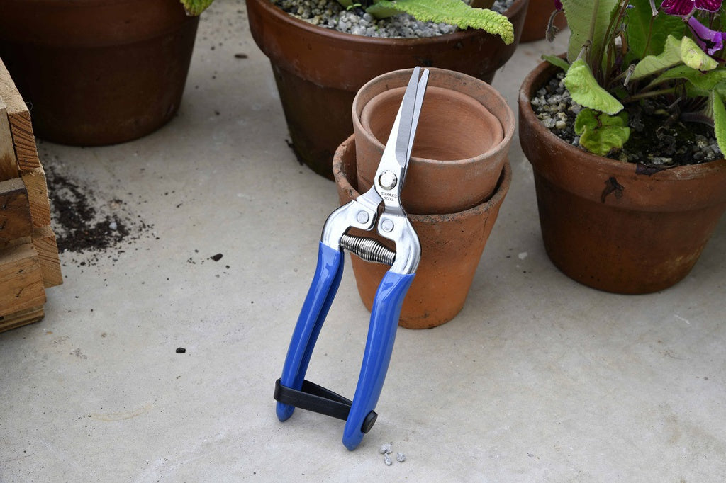 British Meadow Garden Snip Blue