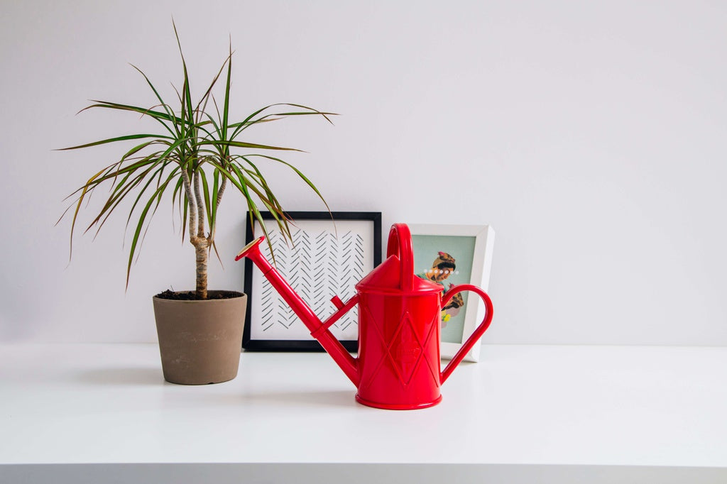 Bartley Burbler Watering Can Red