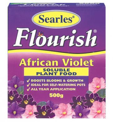 SEARLES FLOURISH - AFRICAN VIOLET