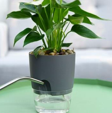 Self Watering Wicking Pot Grey