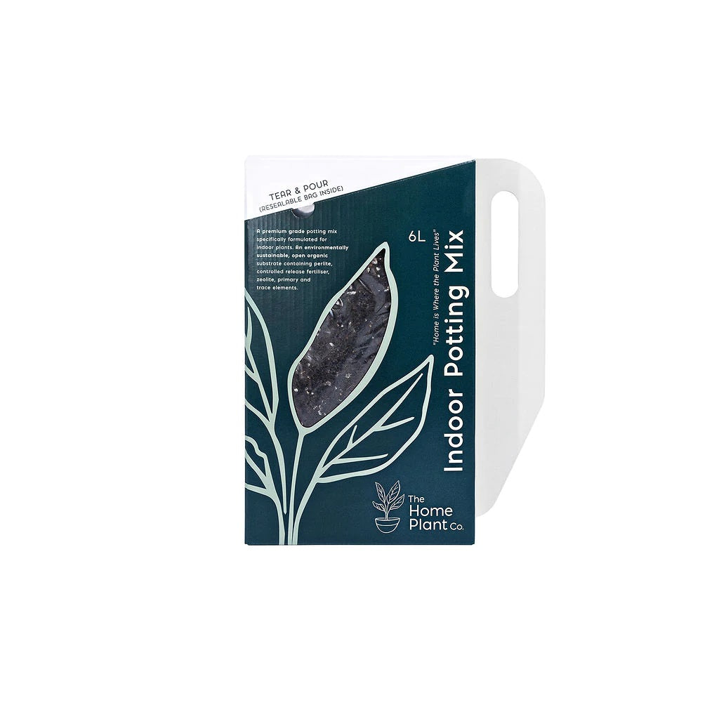 Indoor Potting Mix With Pour Handle