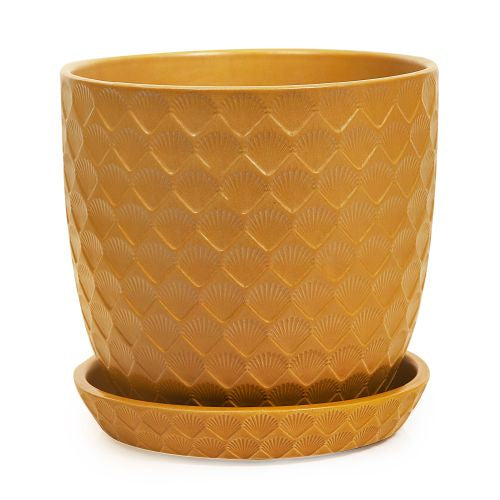 Shell Pot With Saucer Sunset