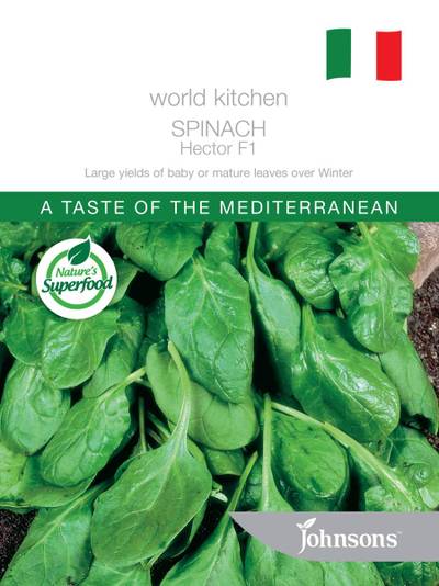 Seeds B World Kitchen Spinach Hector