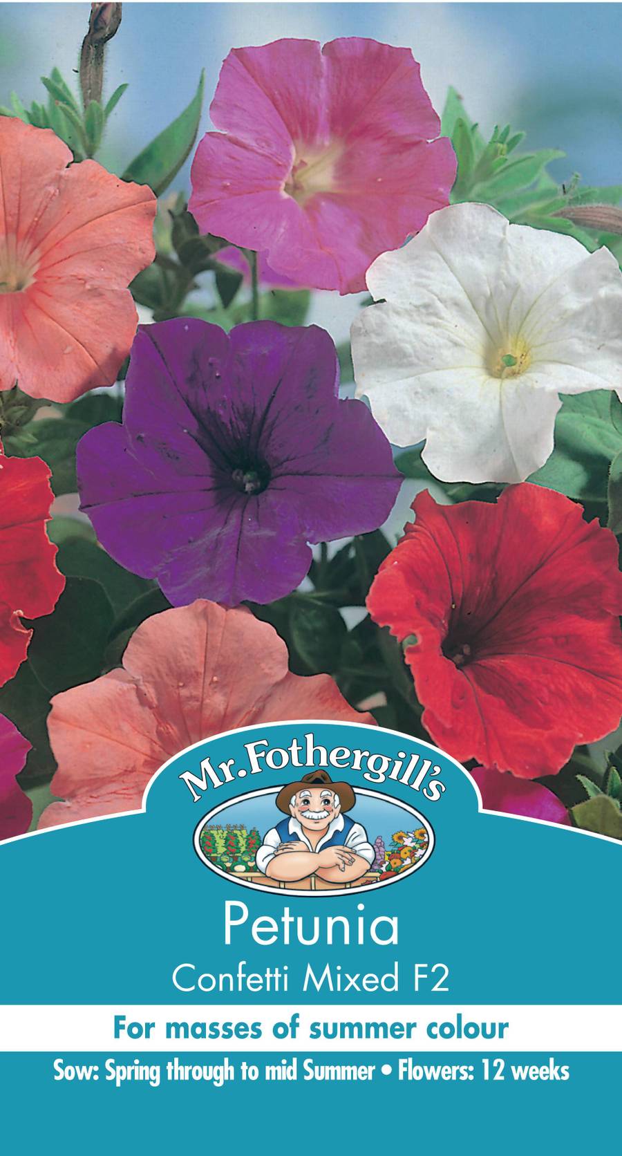 Seeds C Petunia Confetti Mixed