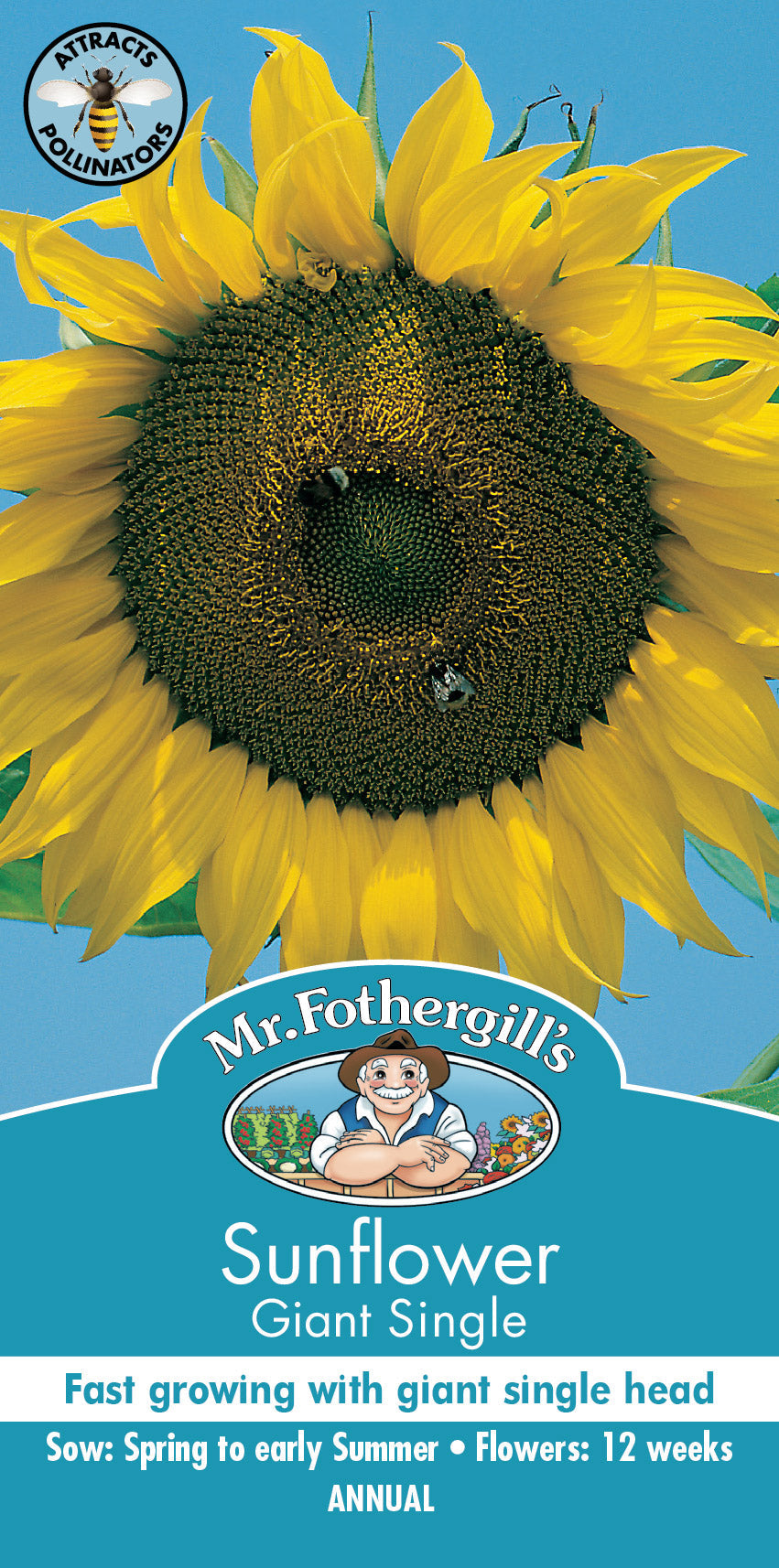 Seeds B Sunflower Giant Single