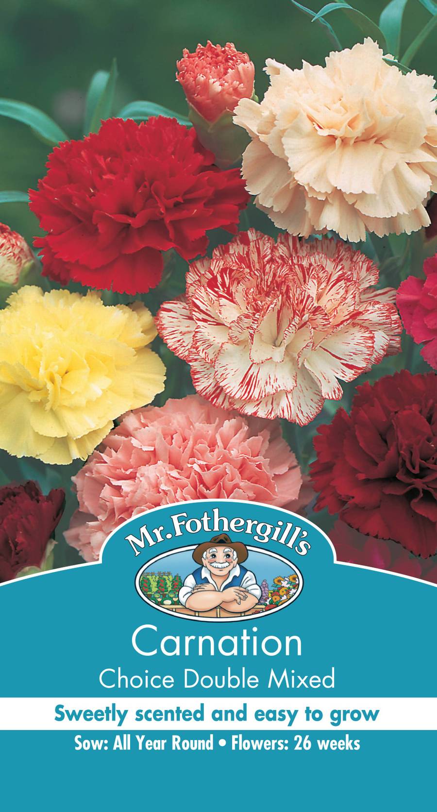 Seeds B Carnation Choice Double Mixed