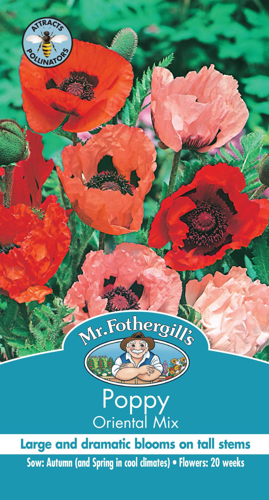 Seeds B Poppy Oriental Mixed