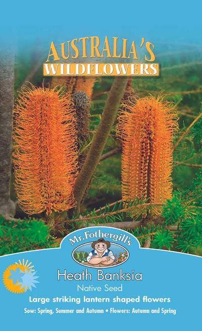 Mr Fothergill's - Heath Banksia Seeds