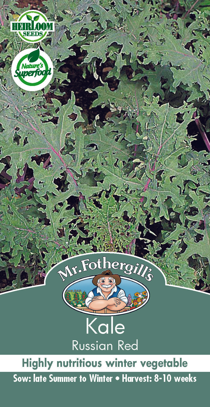 Seeds B Kale Russian Red