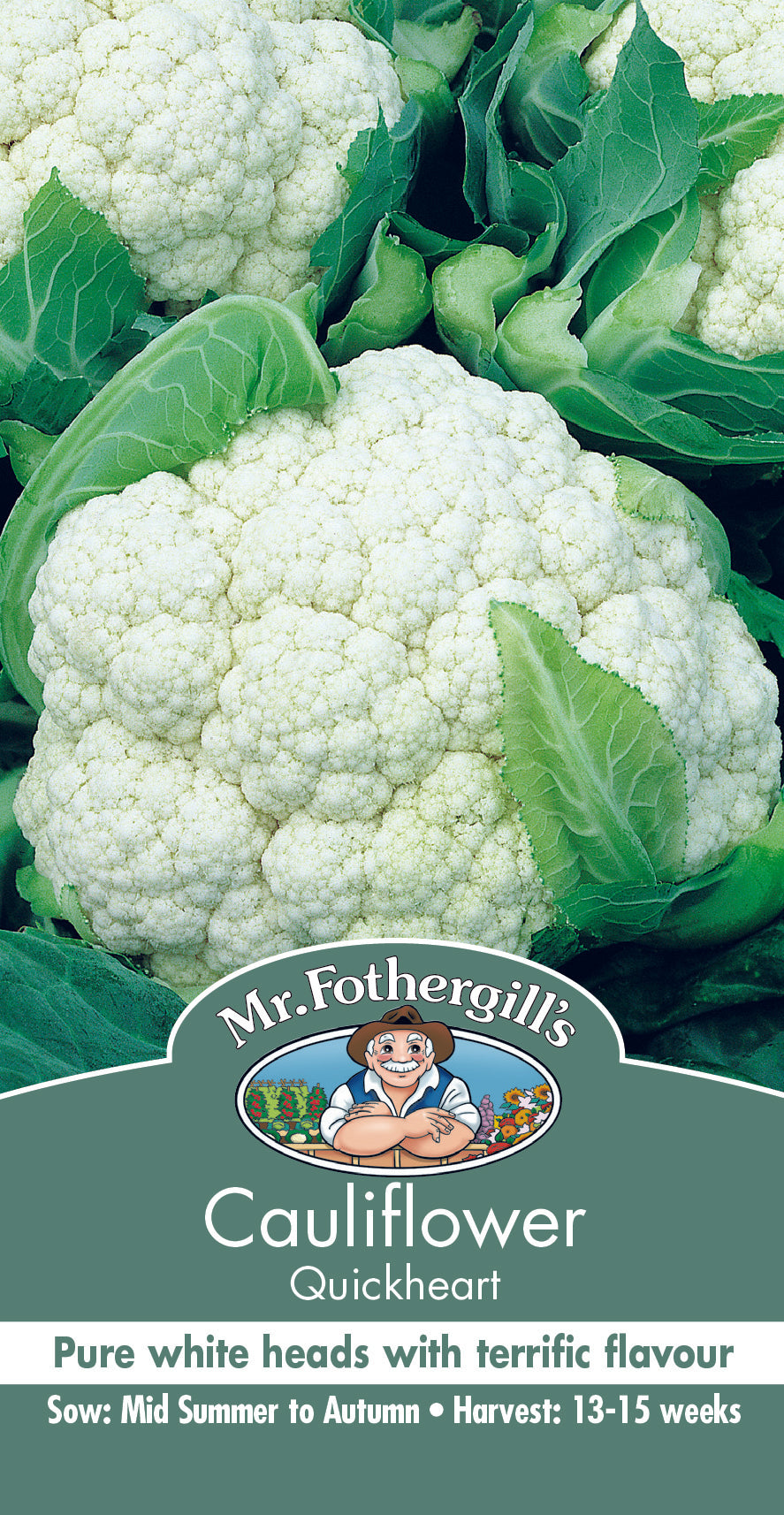 Seeds B Cauliflower Quickheart