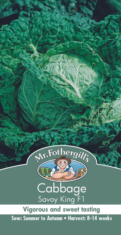 Seeds D Cabbage Savoy King F1